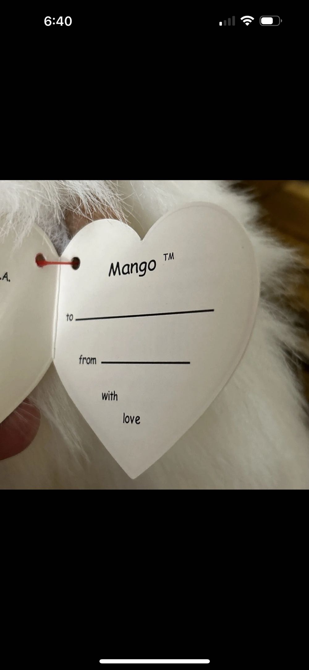 Mango (CLASSIC) X Lg White Monkey  plush collectible [Barcode 008421071005] - Main Image 2