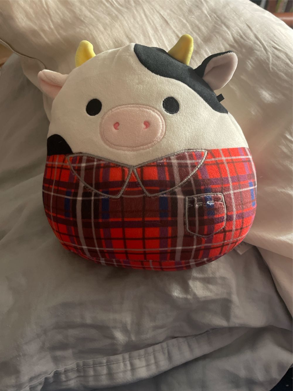 Sanrio Hello Kitty Care Bears Cinnamoroll As Bear 9” Nwt Love A