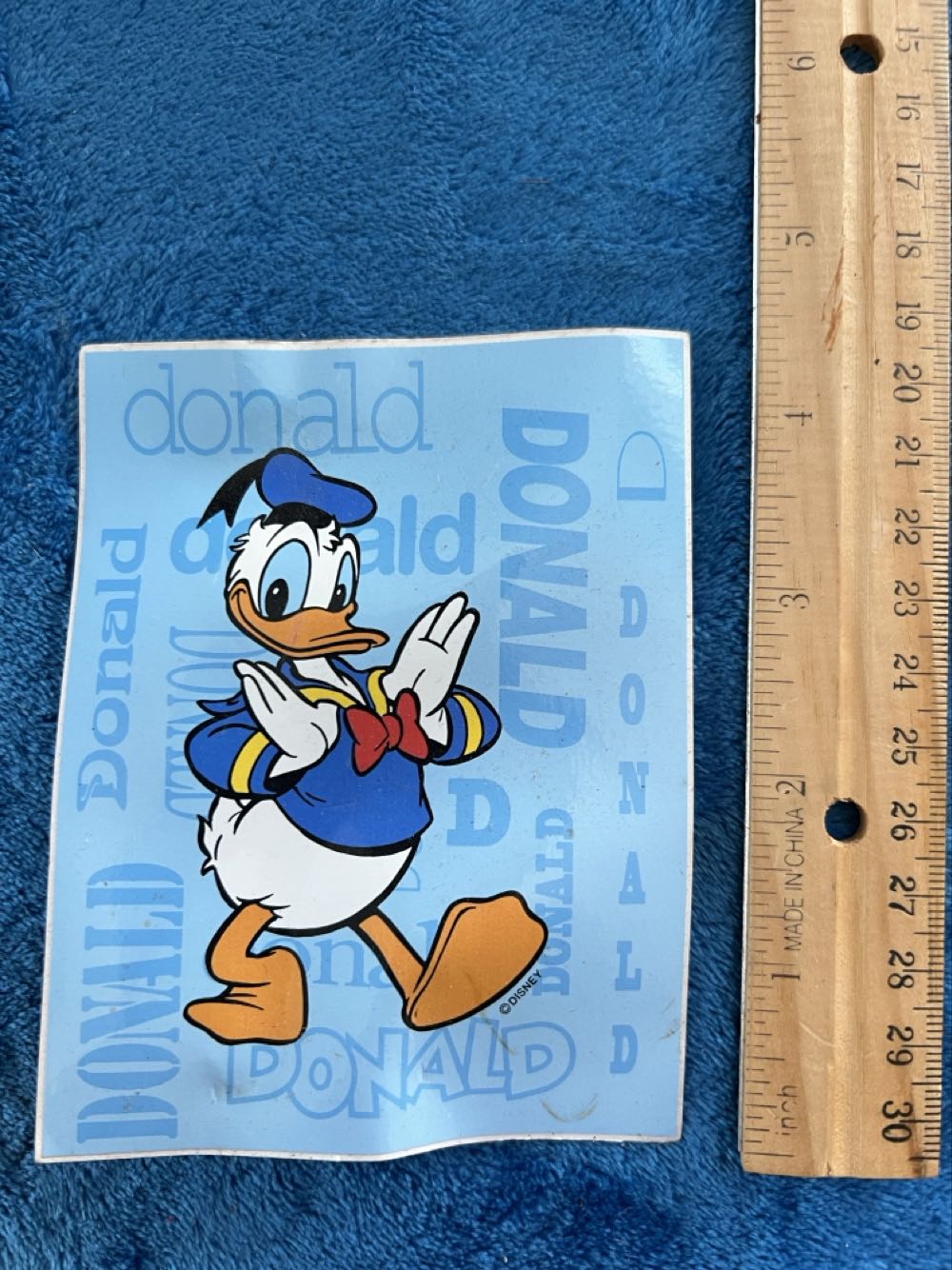 M.C. Anniversary 5th Edition The Bear