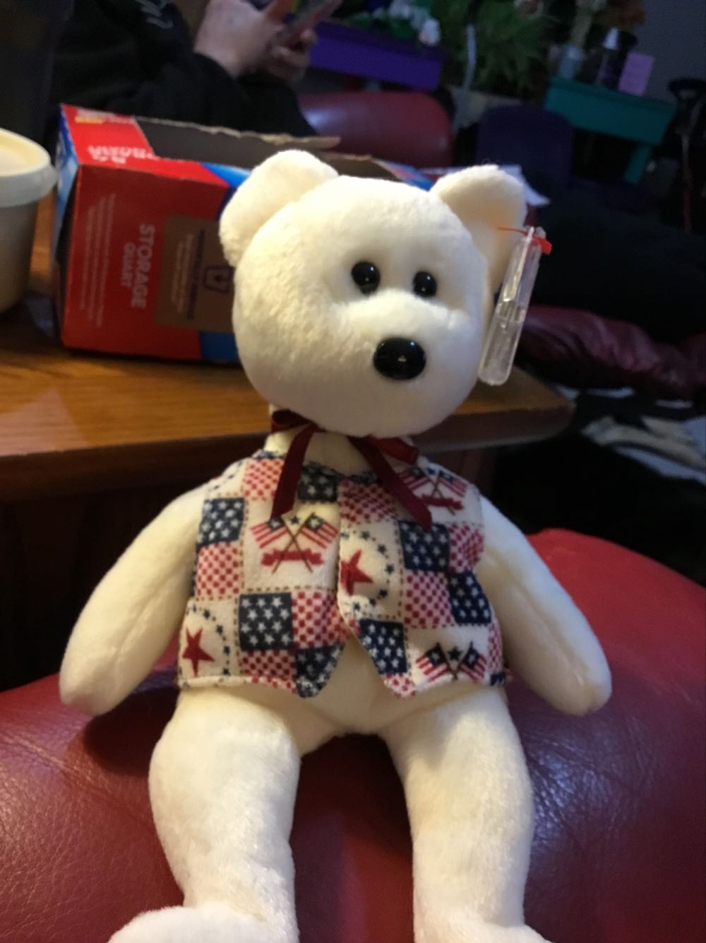 Libert-e The Bear 🐻 #1.  L  plush collectible - Main Image 4