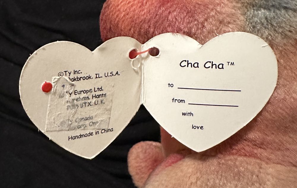 Counterfeit Dinosaur “ Cha Cha”  plush collectible - Main Image 2