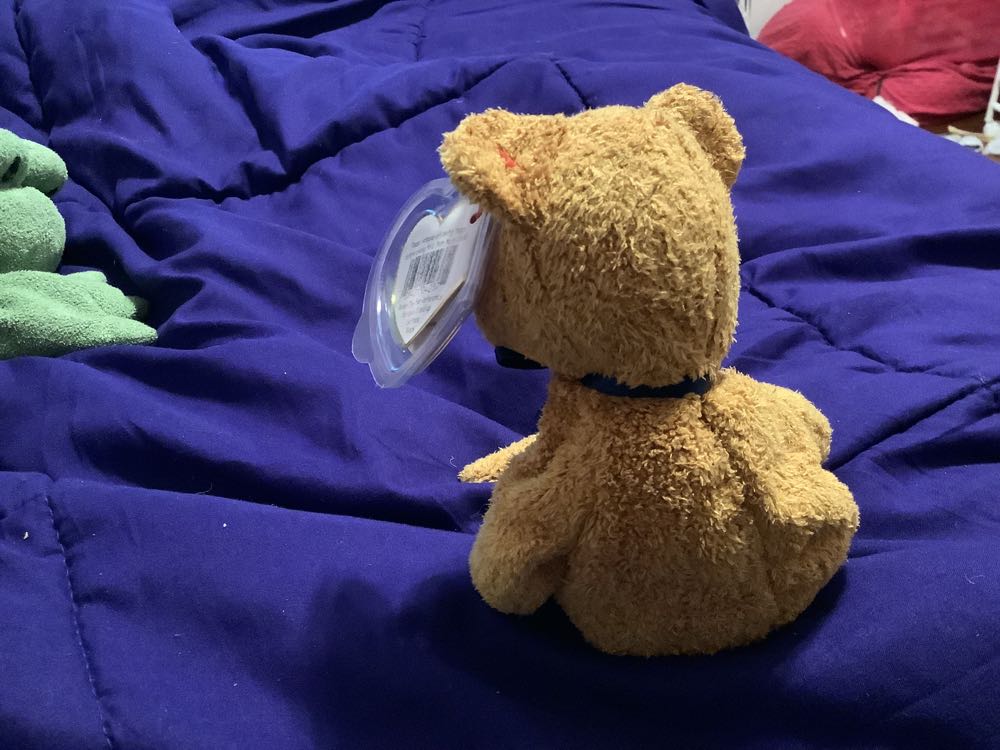 Fuzz The Bear  (United States) plush collectible [Barcode 008421042371] - Main Image 2