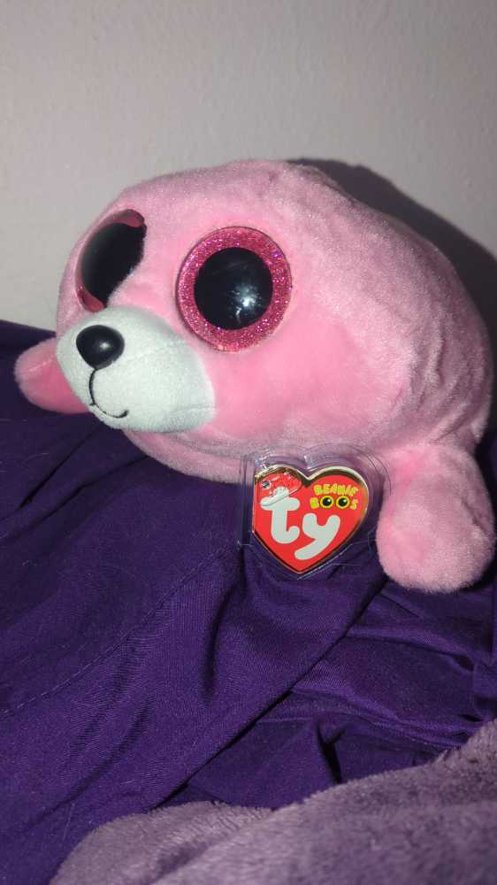 Clementine The Horse