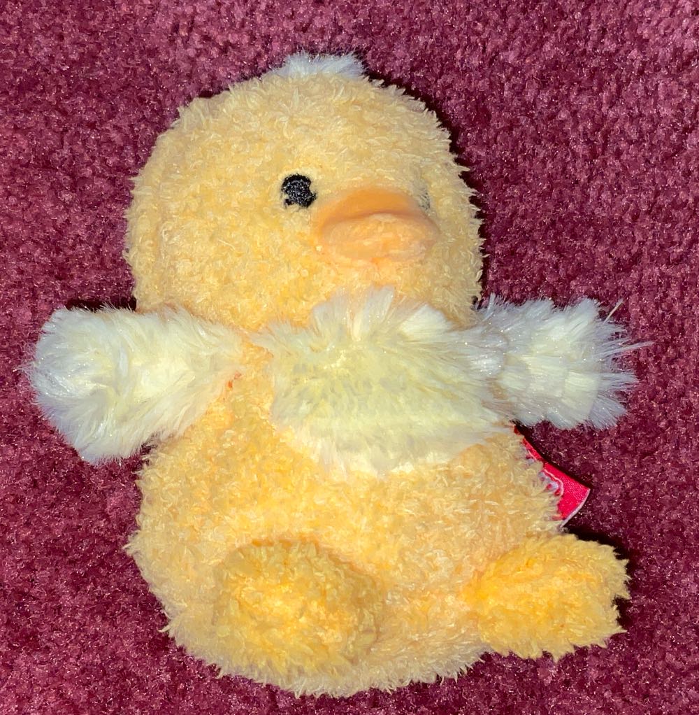 Aurora: 12” Brown Pinto