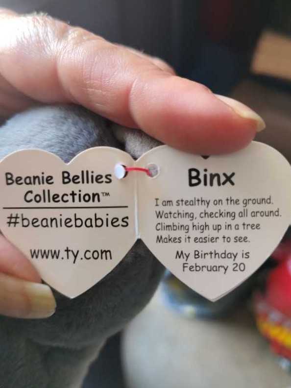 Binx the Cat  plush collectible [Barcode 008421415014] - Main Image 3