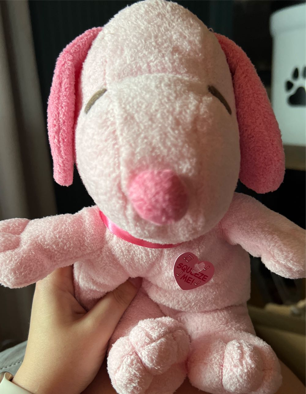 M.C. Beanie ll The Bear