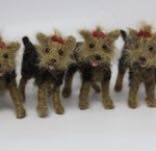 Newt Scamander  And Niffler