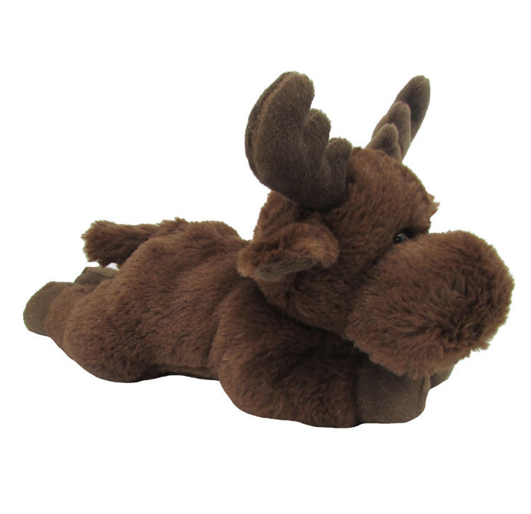 Hedgehog - Spunky (Rainbow Mask)