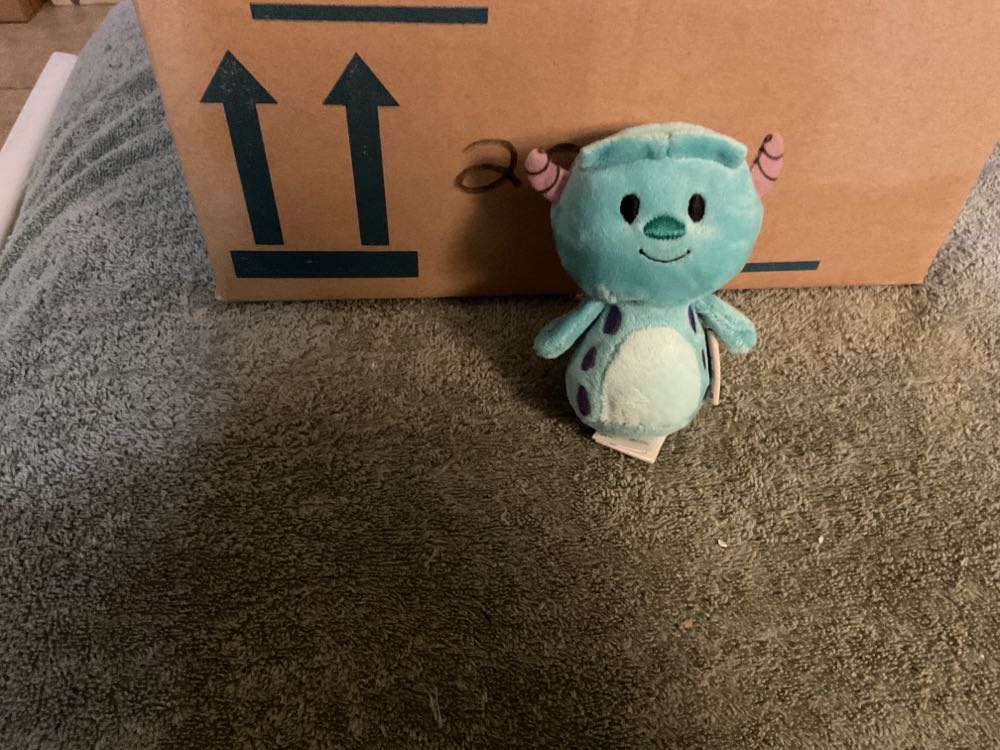 Erin The Irish Bear (Buddy)