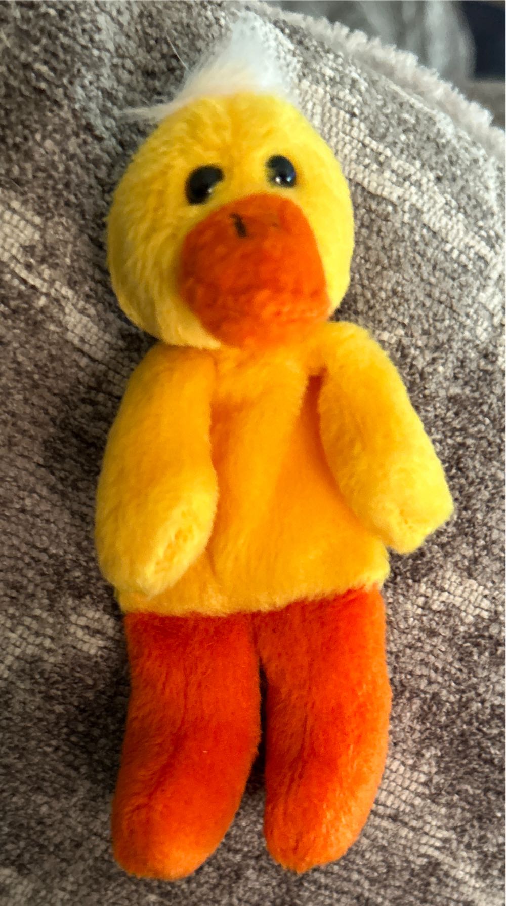 Pocket Bean Pals (4)  plush collectible - Main Image 2