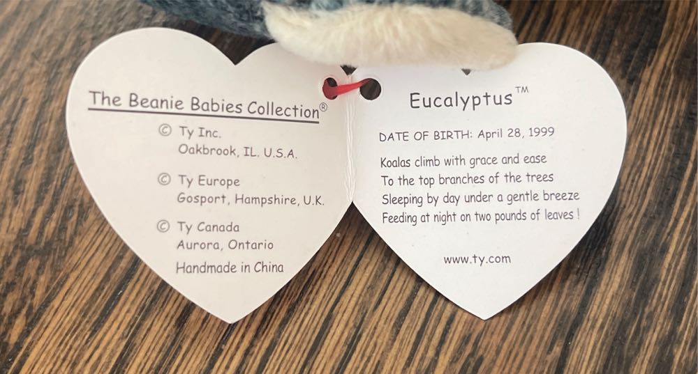 Eucalyptus the Koala Bear  (United States) plush collectible [Barcode 008421042401] - Main Image 3