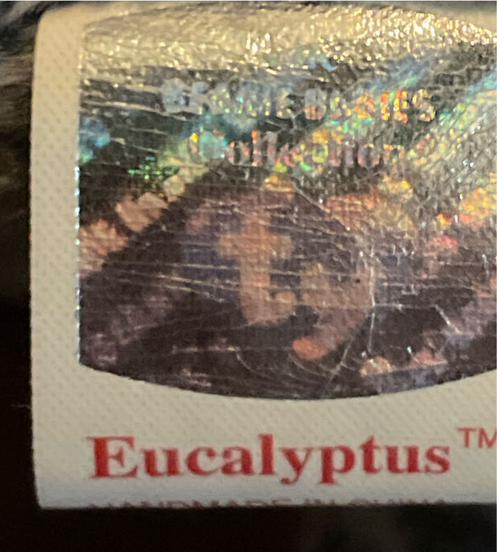 Eucalyptus the Koala Bear  (United States) plush collectible [Barcode 008421042401] - Main Image 4