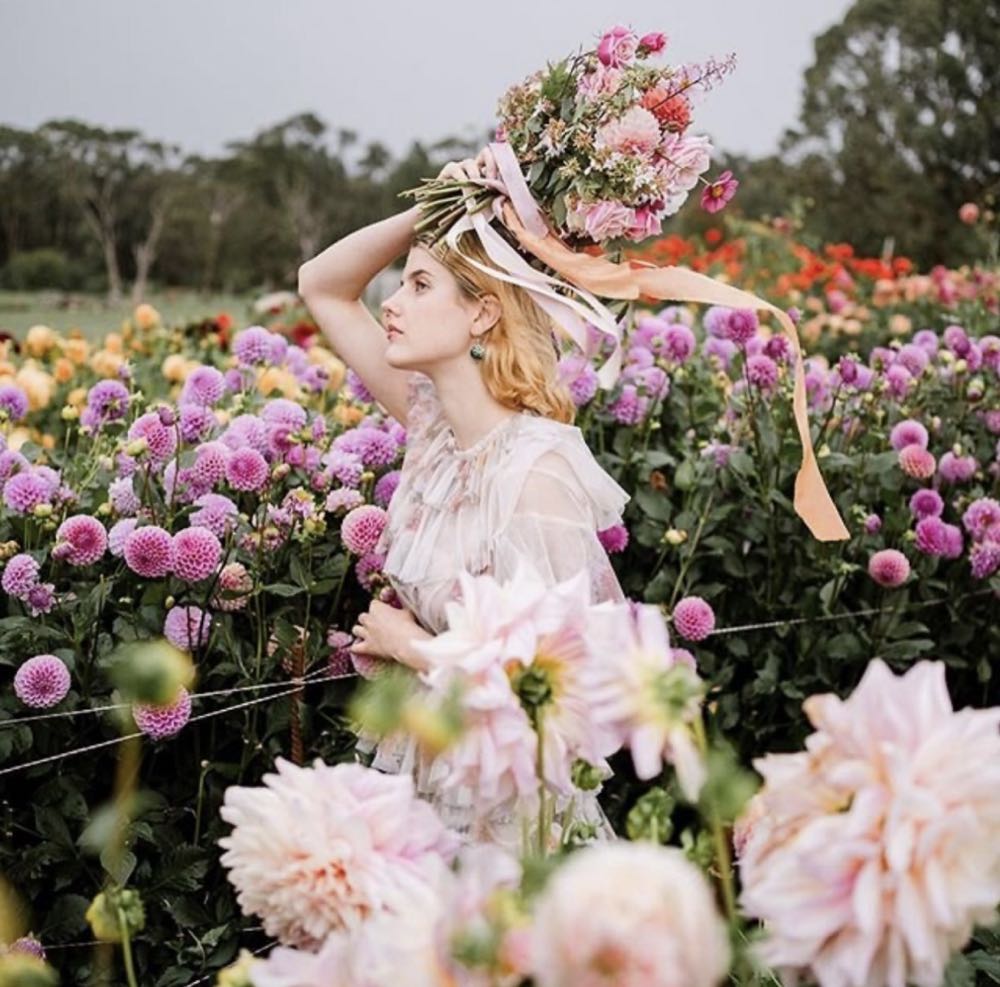 The Secret Of The Fortune Wookie: An Origame Yoda Book