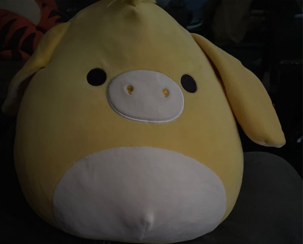 Hamster - Niven (Valentines)