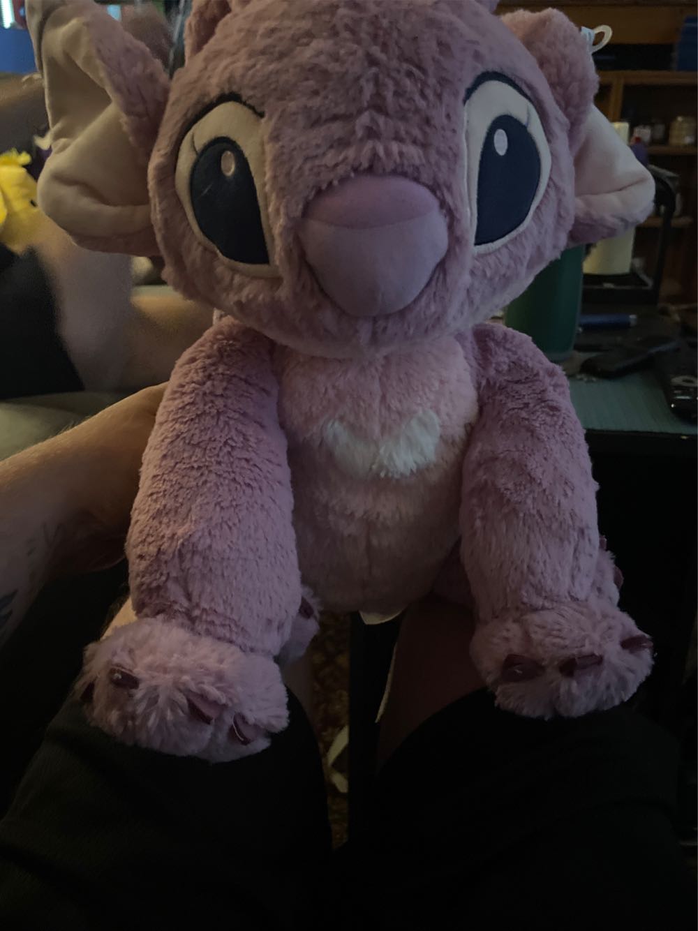 Stegosaurus (Dinosaur)