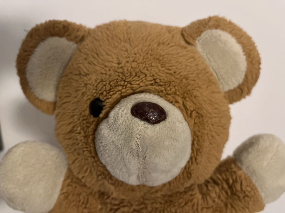 Ursa  plush collectible - Main Image 2