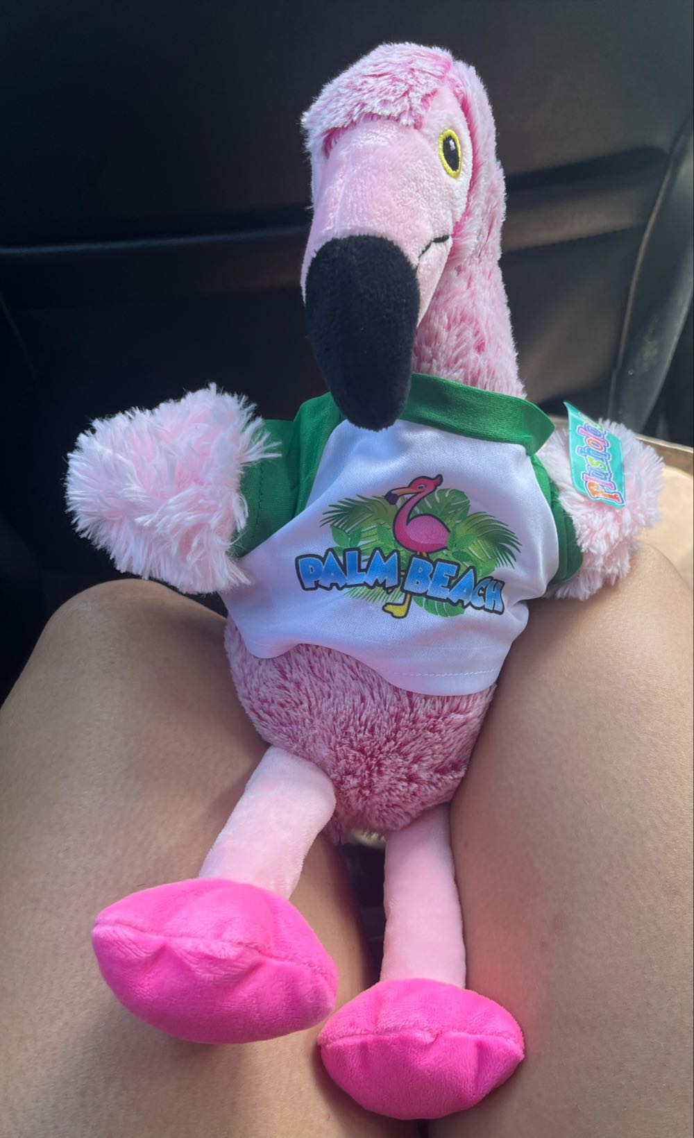 Pokémon Center: Kyoto Hannari Tea Party Pikachu Female