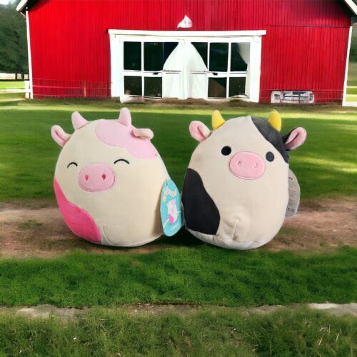 Cleo Squishmellows Witch Cat