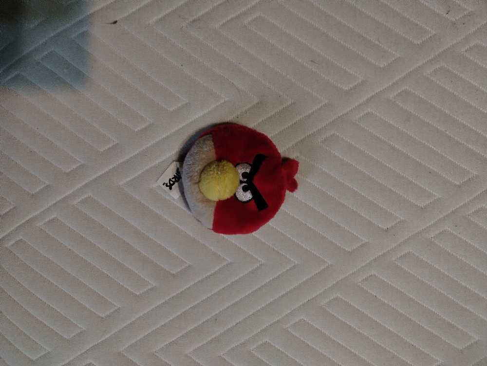 Cinnamoroll (Pool Party) Squishmallow