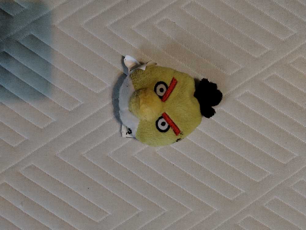 Puffkins Ding The Bat Wings Fangs 🦇🎃