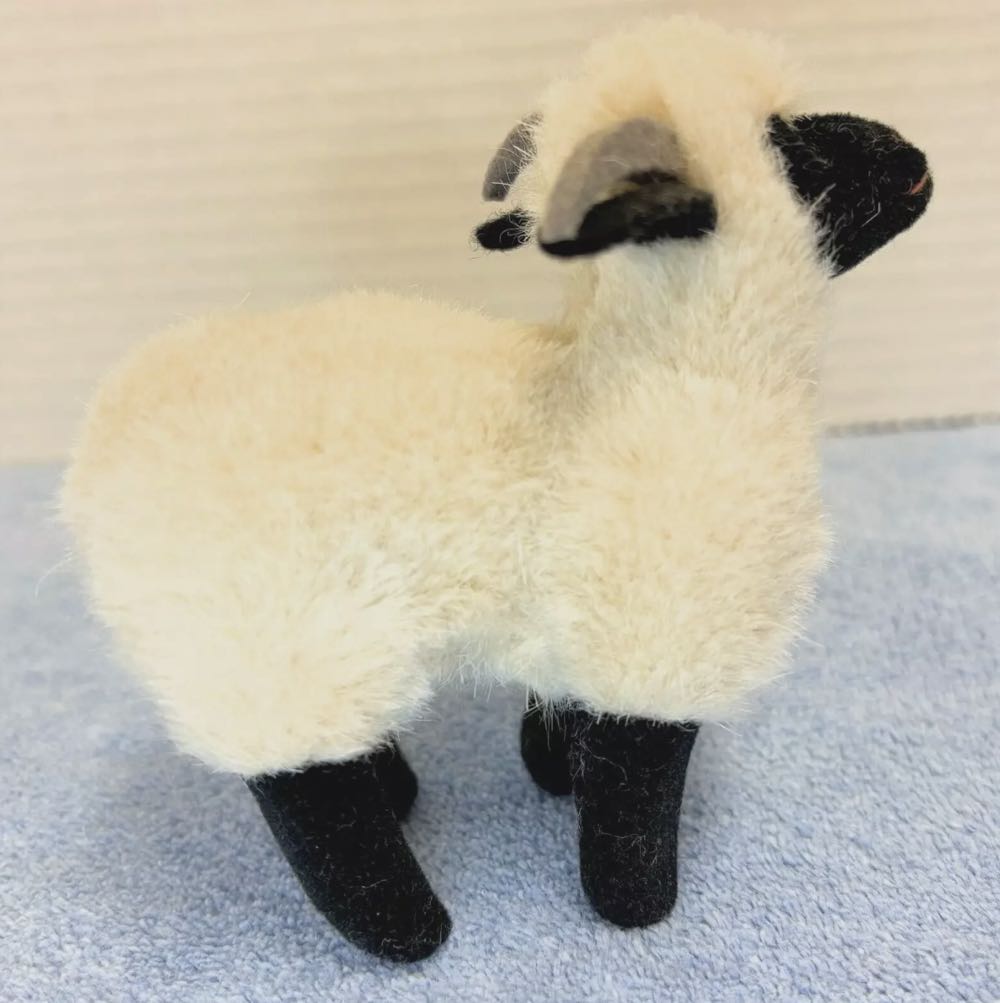 Steiff - Sheep - “Snucki”  plush collectible - Main Image 2