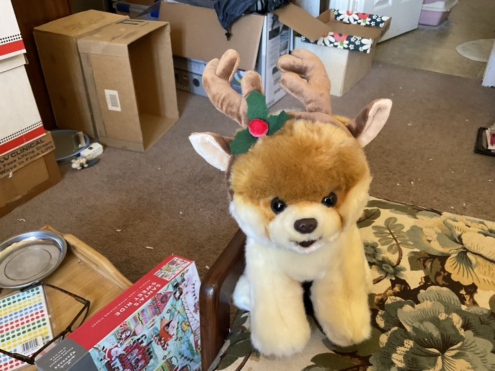 MeeMeows: Safari Caterpillar