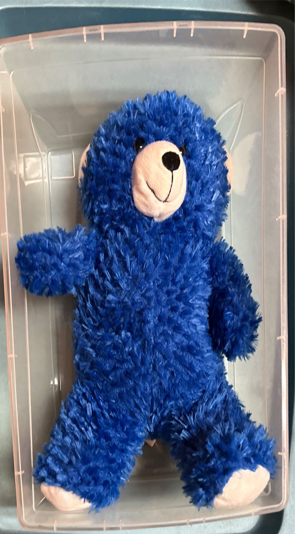 Mooch the Spider Monkey