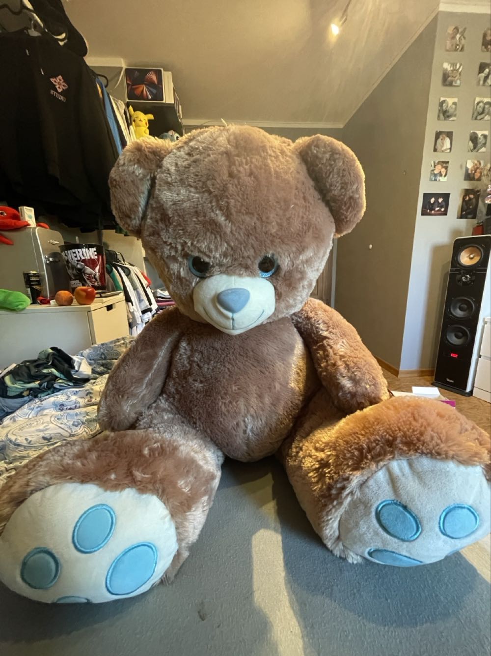 Micro Wave 1 - Wish Bear