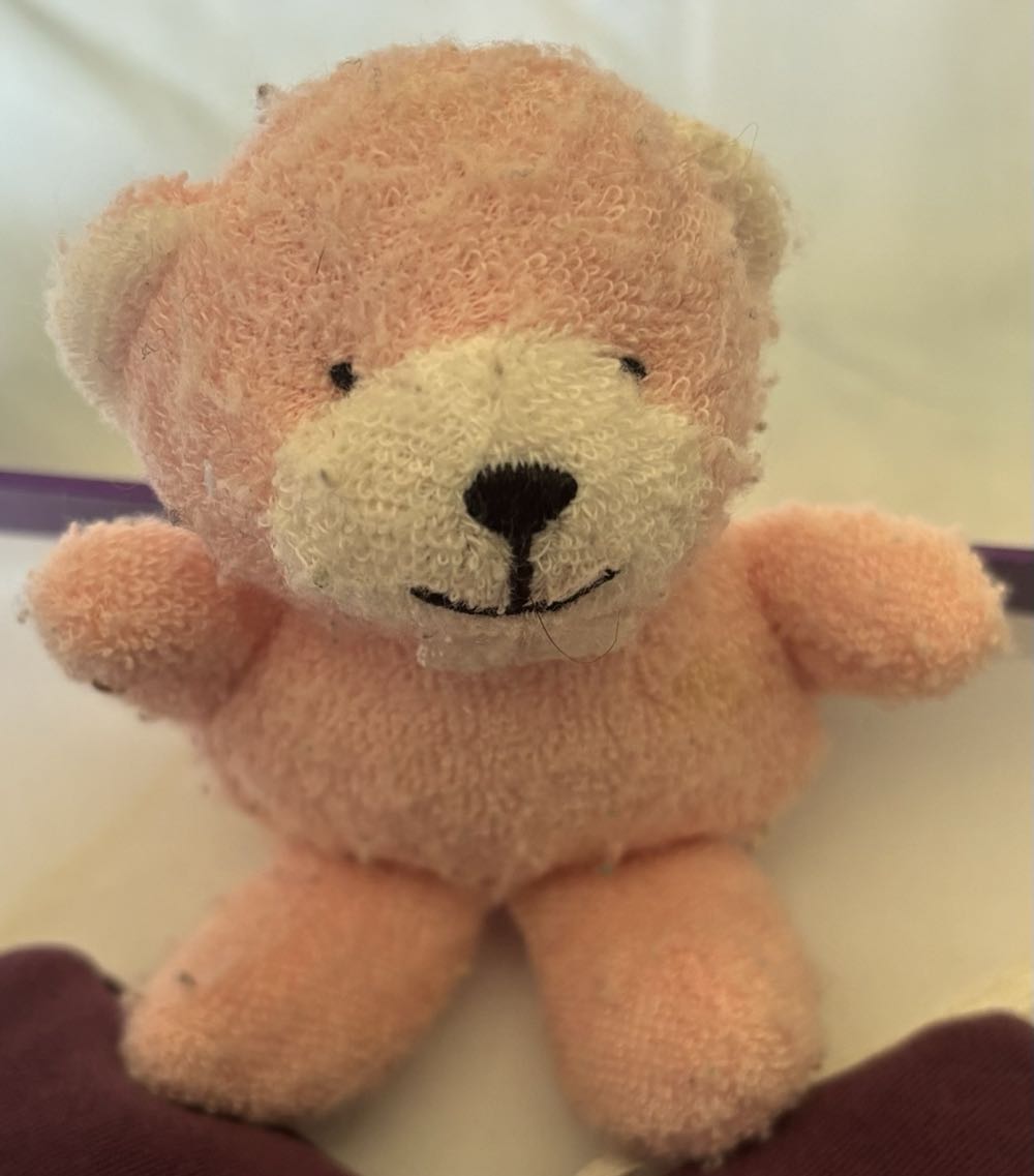 White Bear With Red And White Striped Hat