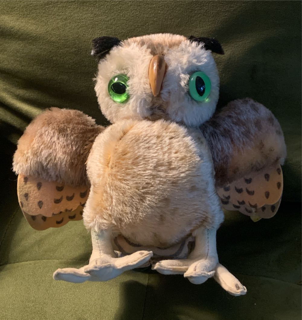 Burmese Mountain Dog Build a Bear