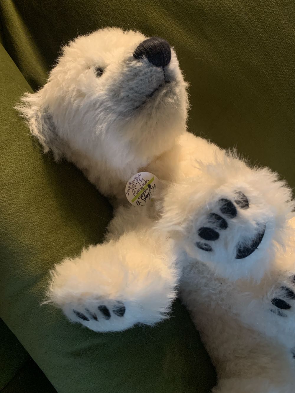 Steiff Knut #00559  (United States) plush collectible - Main Image 2