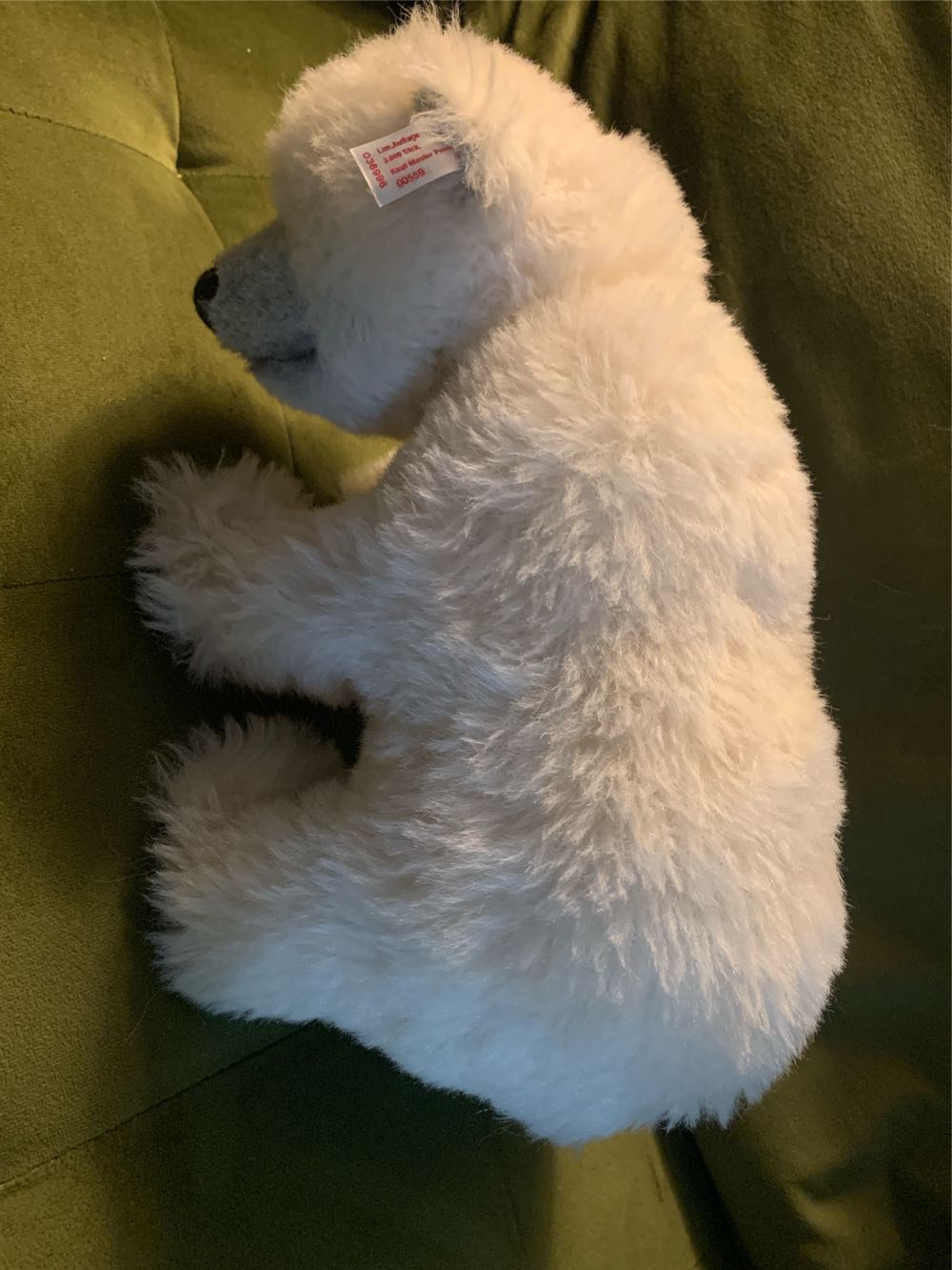 Steiff Knut #00559  (United States) plush collectible - Main Image 3