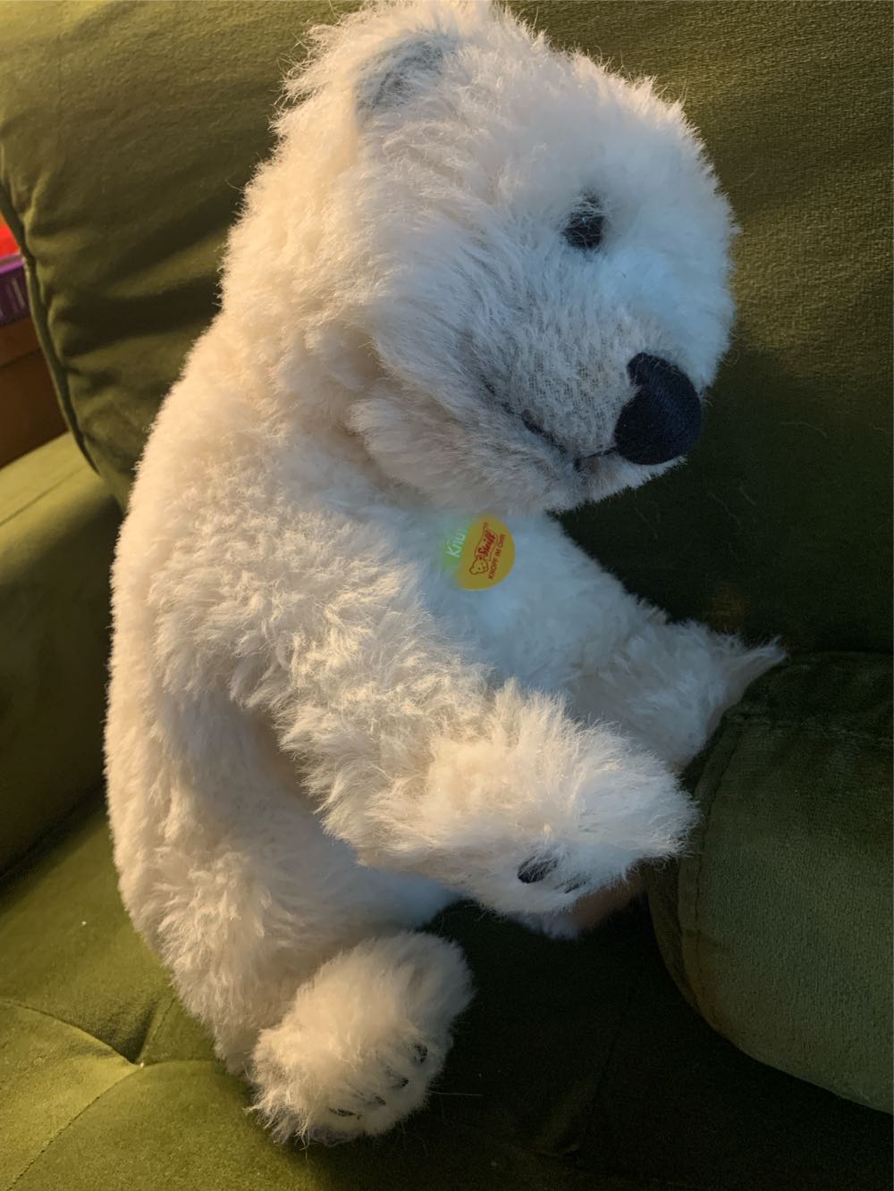 Steiff Knut #00559  (United States) plush collectible - Main Image 4