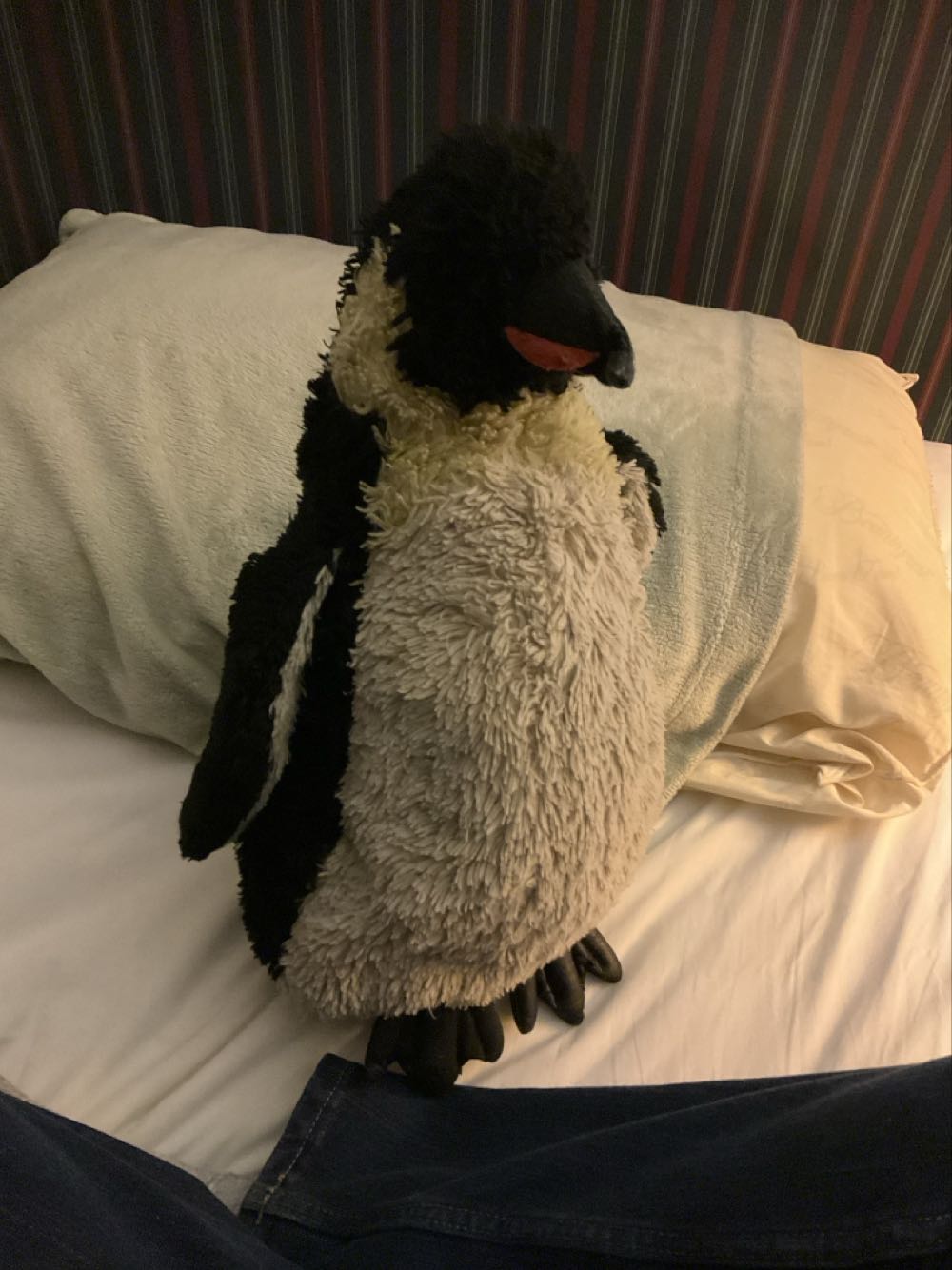 Amuseable Slice Of Pizza