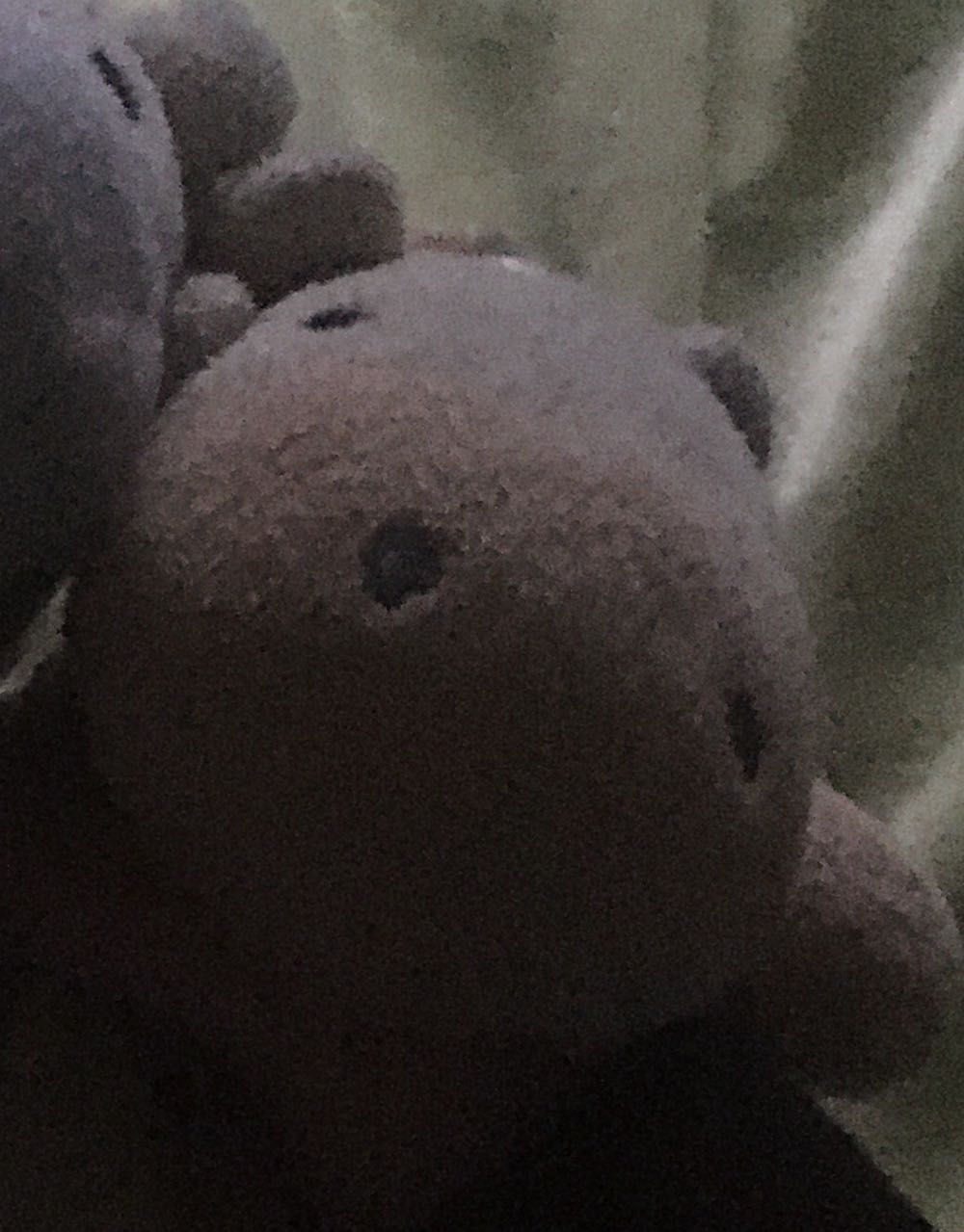 Steiff Tuggy Turtle Premium Turtle Stuffed Animal Turtle Toys Stuffed Turtle Turtle Plush Sea Stuffed Animals Ocean Toys Ocean Plush Soft Cuddly Friends Green Blue 11”