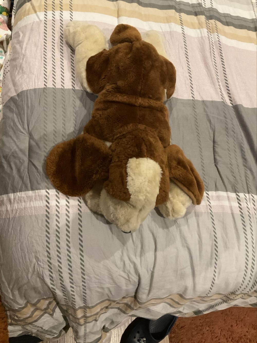 Perro  plush collectible - Main Image 2