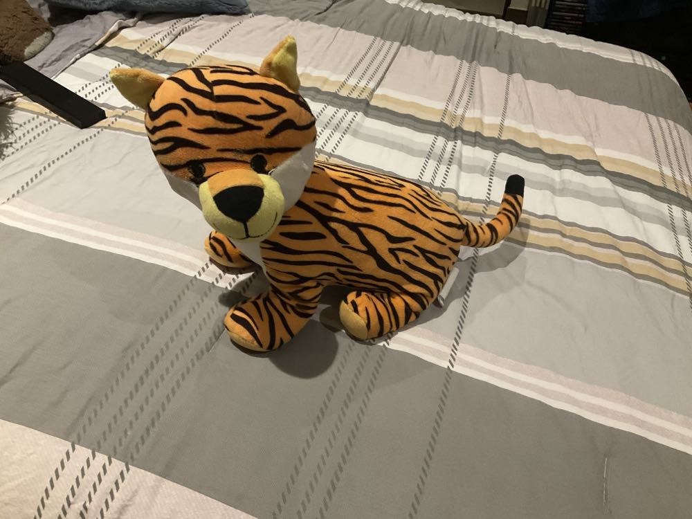 Barbie Collector Edition