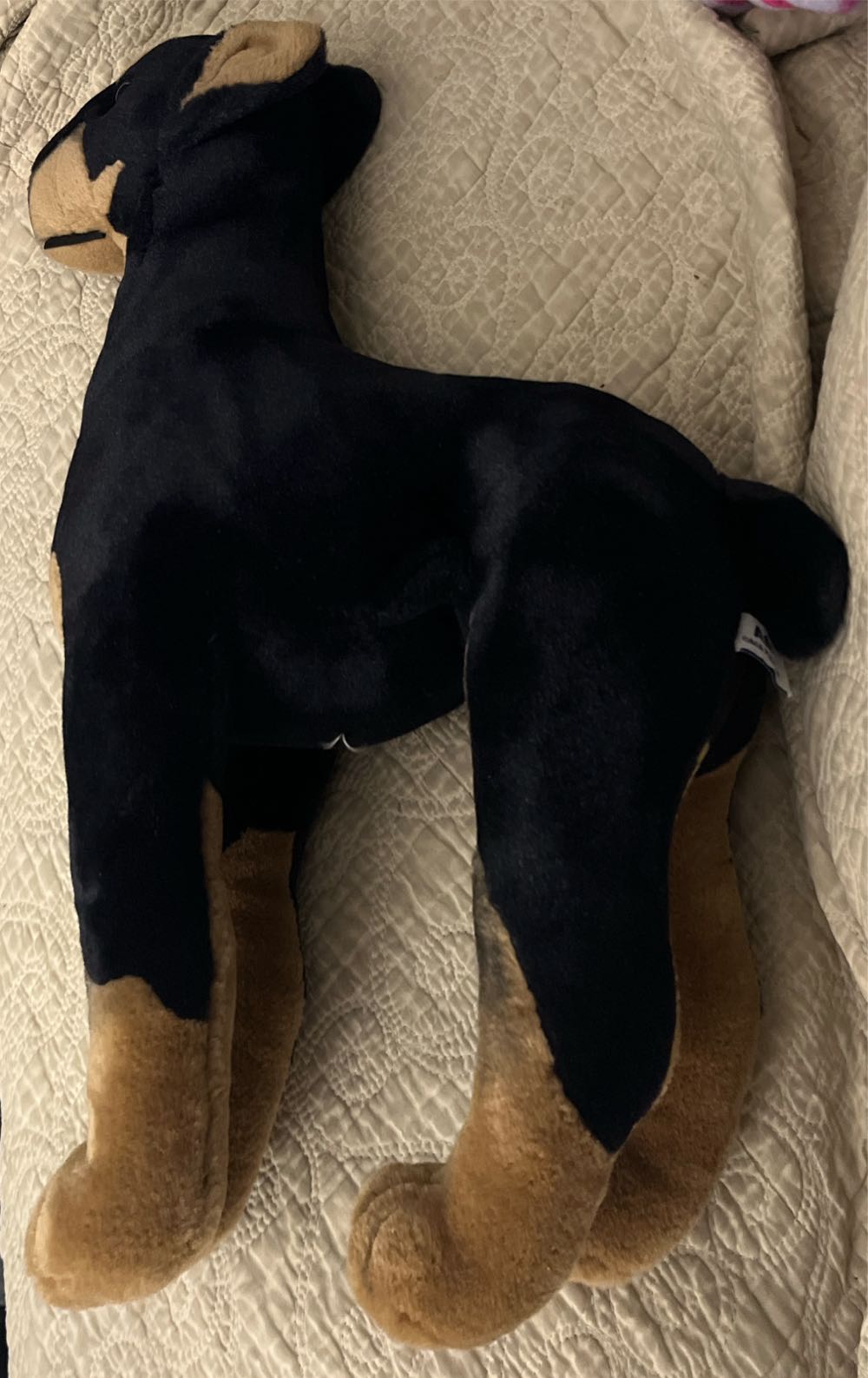 Little Sage Dragon BNWT