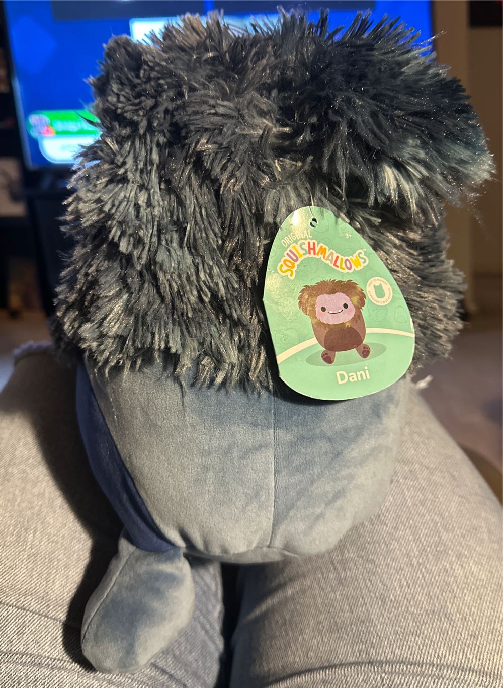 Dani, 10” Squishmallow S11 #1957  plush collectible [Barcode 51144142] - Main Image 2