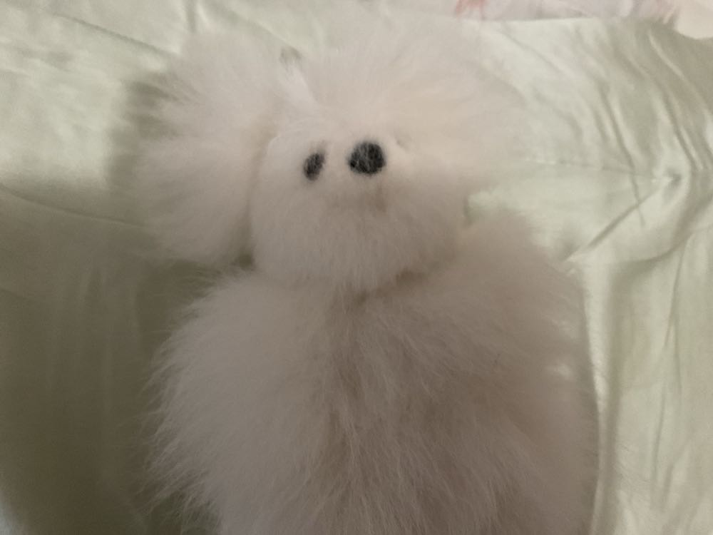 Principles of Speedwriting Shorthand, Regency Professional Edition (First Course), Student Transcript