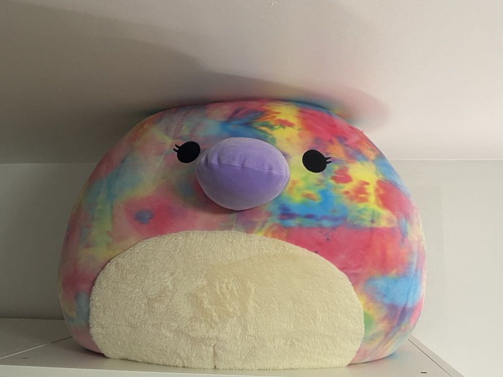 Blarney Castle Teddy Bear