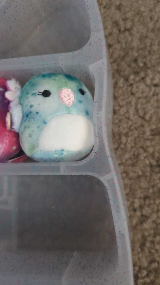 Barnet Tangerine Fruit Bat Blacklight Squad 8 Squishmallow Orange 8” New With Tags The