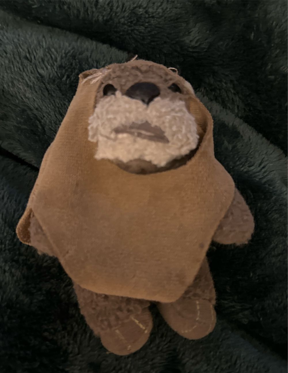 Issy The Bear - Paris