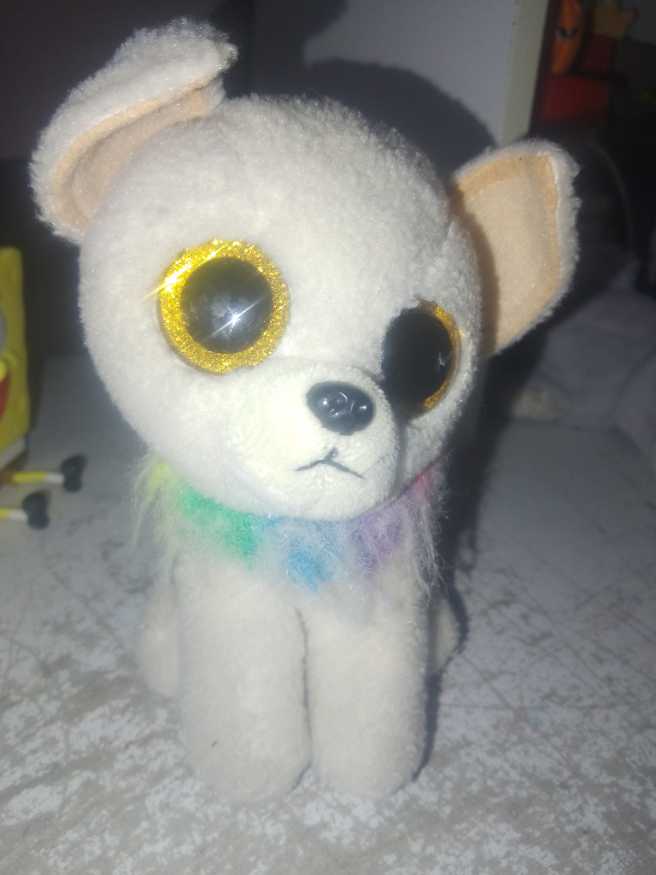 Dan Dee Woodstock Peanuts Plays Witch Music