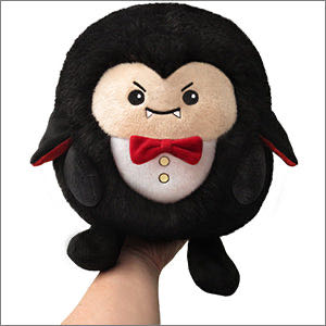 Issy The Bear - Punta Mita