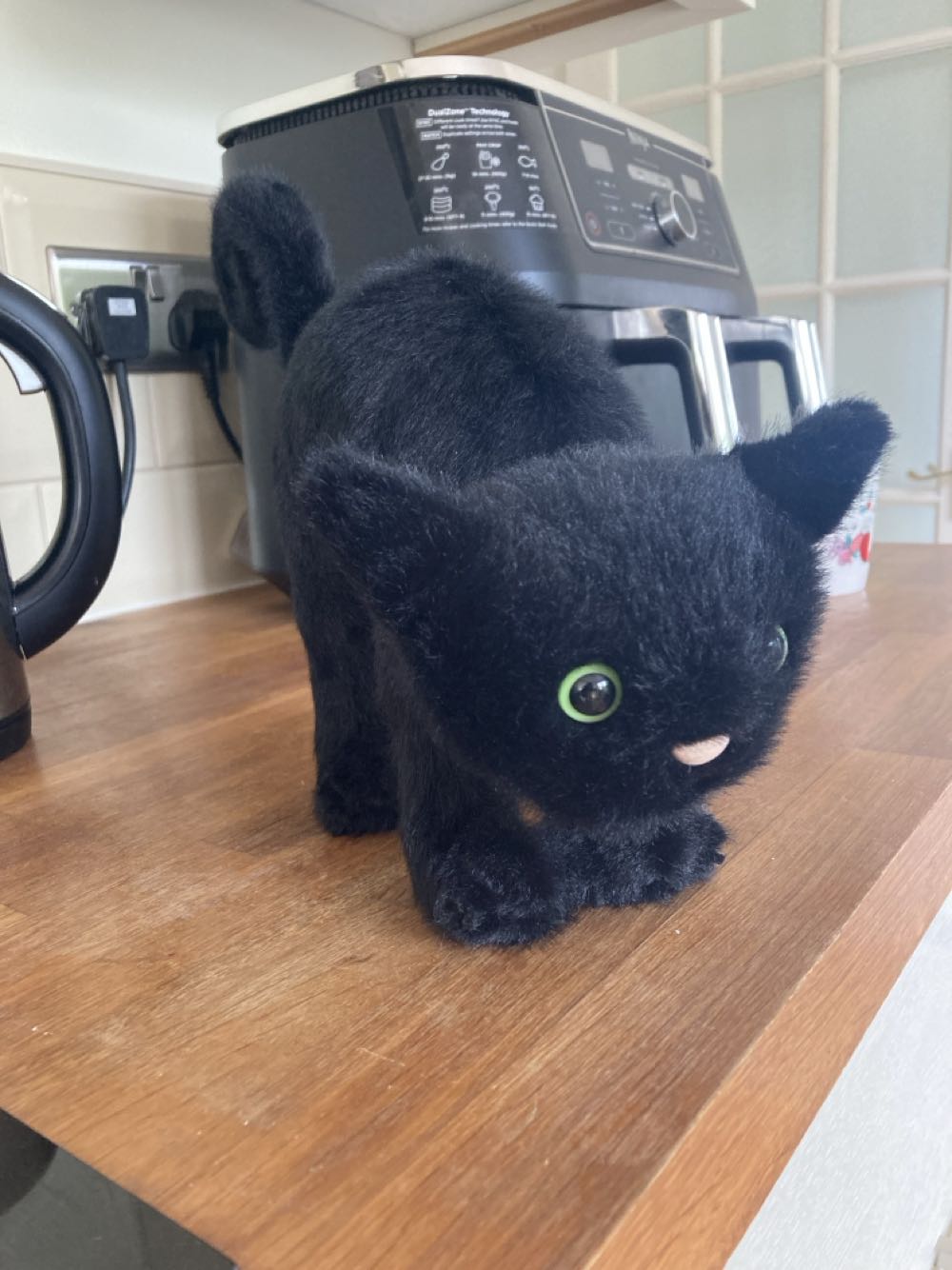 Jellycat Spookipaws Cat  (United Kingdom) plush collectible [Barcode 670983158496] - Main Image 3