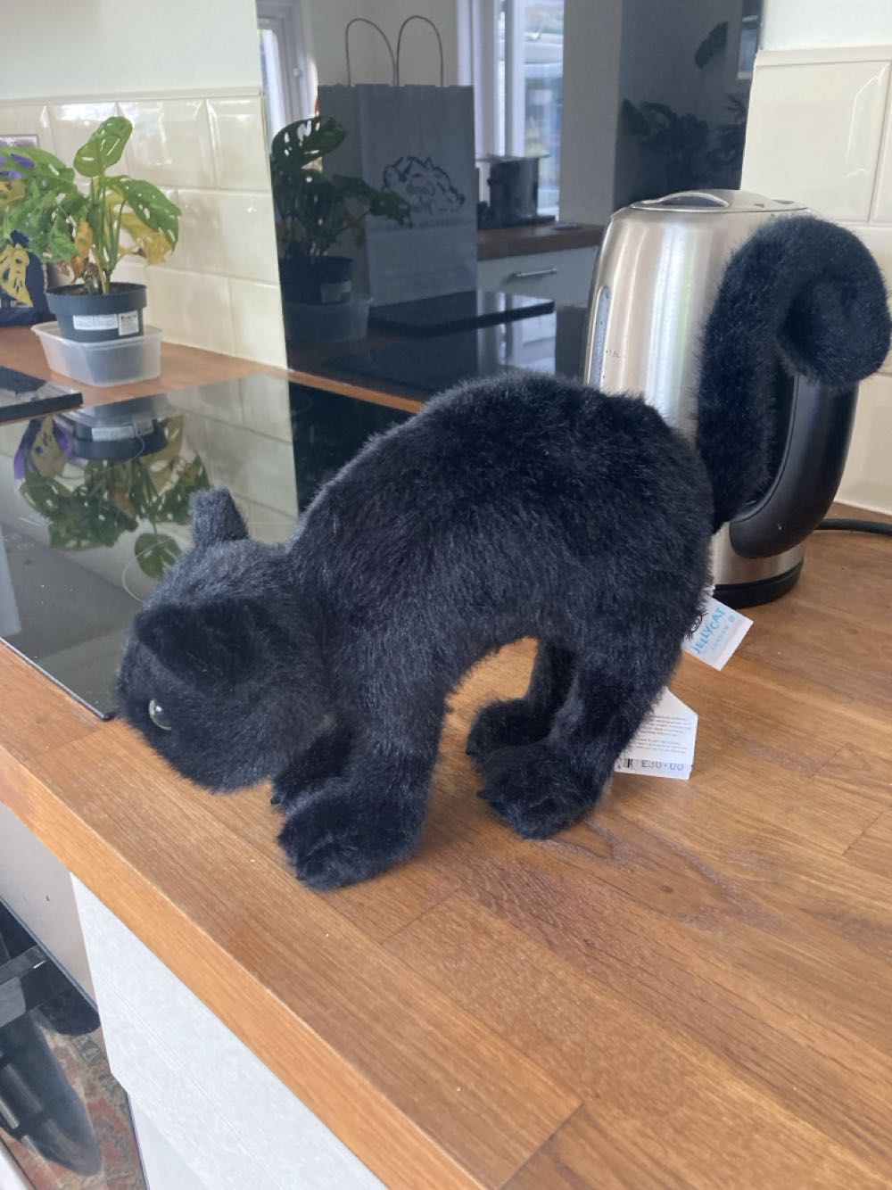 Jellycat Spookipaws Cat  (United Kingdom) plush collectible [Barcode 670983158496] - Main Image 4