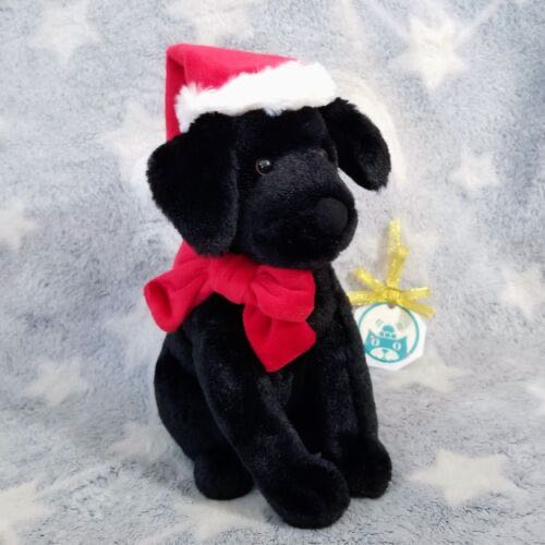 Punxsutawney Phil 2006