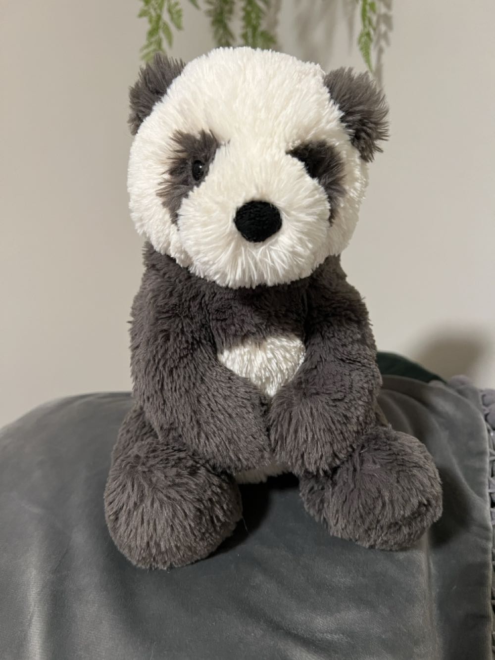 Bashful Bunny With Christmas Tree