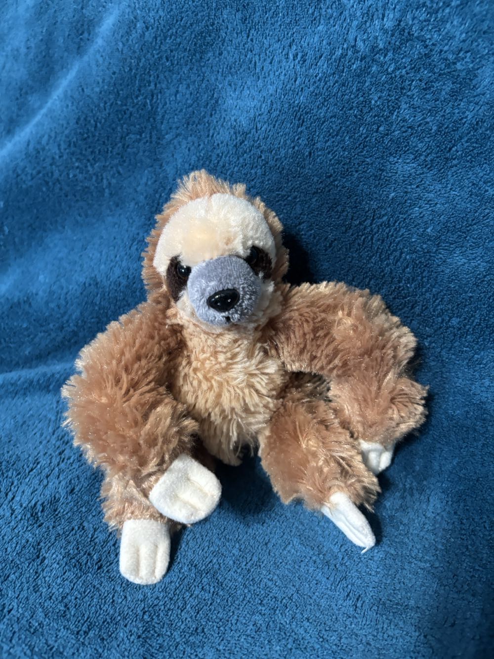 Bashful Bunny Viola - Medium